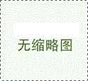 T型斗式提升機(jī)